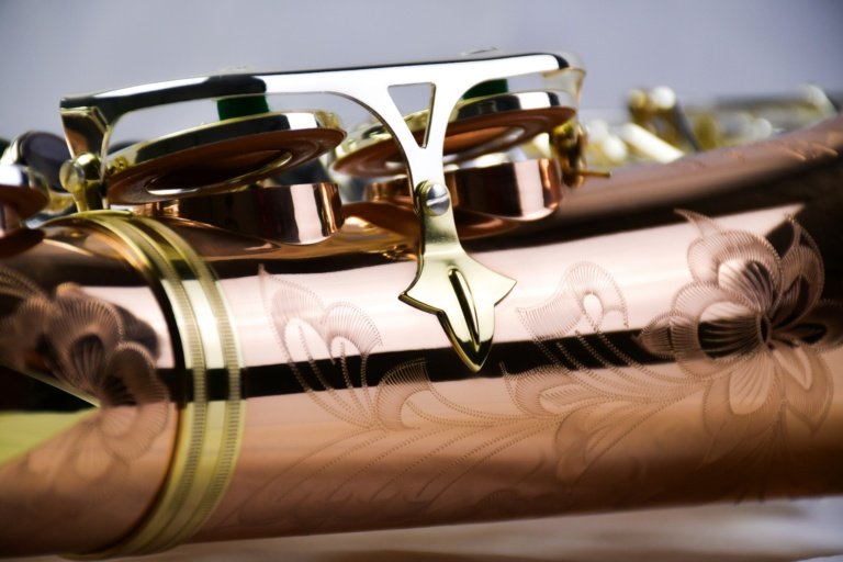 Close-up_PMSA-600 Venus_m_011